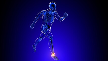 Ankle joint pain Anatomy For Medical Concept 3D