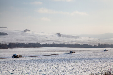 Snow covered hills on a clear sunny day. Several haystacks in a field. The forest is in the distance.