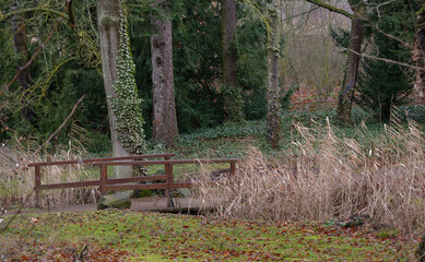 kirchheimbolanden, weg im schlossgarten