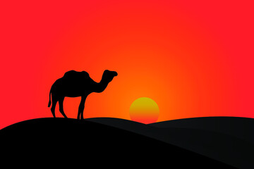 Camel silhouette during a desert sunset, Landscape of the Desert, camel silhouettes. Vector Illustration.