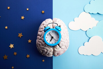The circadian rhythms are controlled by circadian clocks or biological clock - obrazy, fototapety, plakaty