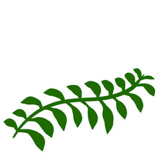 Fern leaf. Element of nature and the forest. Green bracken plant. Flat cartoon illustration isolated on white