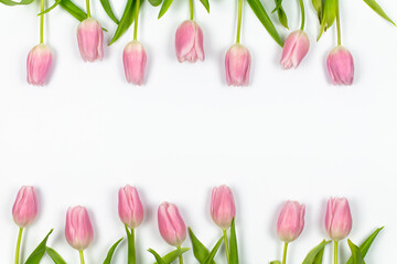 Pink tulips are arranged in a row above and below on a white background Spring floral frame