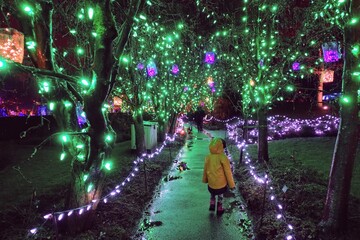 Families walking in a park on a rainy christmas night surrounded by beautiful colourful christmas...