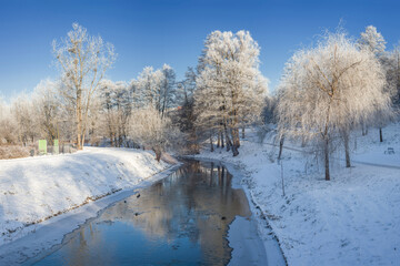 Zima w Olsztynie w Parku Centralnym