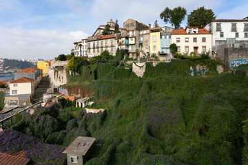 Fototapeta na wymiar Green view of Porto