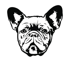 French bulldog face. Portrait of a dog. Vector illustration.