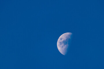 moon in the sky