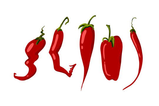 Set of five vector hand drawn chili peppers