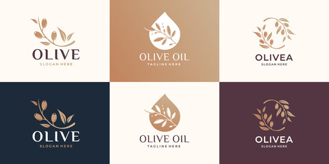 olive logo inspiration template. olive oil, essential olive oil, feminine beauty, fashion store.