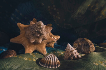 underwater stones and shells lying on a marble background, composition of sea stones and seashells, marine composition, composition of seashells, jellyfish