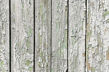 A horizontal texture of old white boards painted with white color with knots and resin