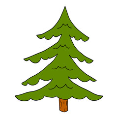 Cartoon doodle linear spruce tree isolated on white background. Forest hand drawn icon.