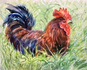 Rooster on green nature background. Watercolor. Design element. 