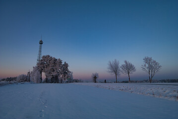 Wieża GSM w zimowej odsłonie wśród drzew