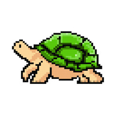 Vector pixel art animal turtle isolated cartoon
