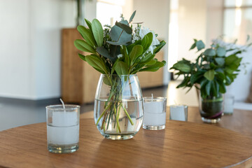 Decoration Plants in a Hostel