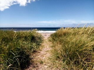 Sand dunes: beach sea view.