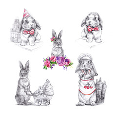 Set of watercolor and graphic rabbits:  mother rabbit with stroller and baby, rabbit in hat and bow at cabbage and carrot cake, rabbit with polka dot bow,  rabbit cook inchef's hat , in flowers.