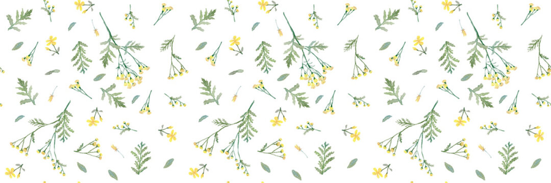 watercolor seamless pattern with medicinal plants, yellow, orange flowers with green leaves