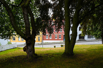 Alesund, Norway 08 16 2021: Two trees in front of colorful houses in the city of Alesund, Norway.