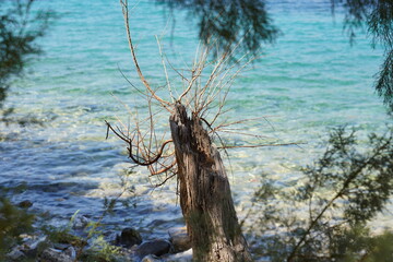 Griechenland Landschaft 