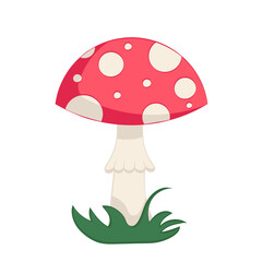 fly agaric red mushroom in white circles