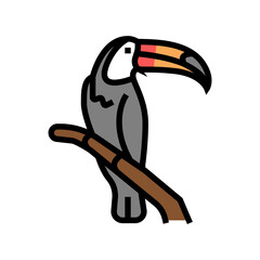 toucan bird in zoo color icon vector. toucan bird in zoo sign. isolated symbol illustration © vectorwin