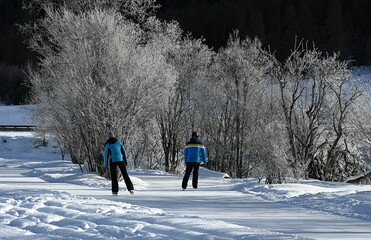 people walking in winter forest - 477357539