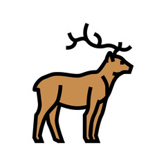 deer animal in zoo color icon vector. deer animal in zoo sign. isolated symbol illustration
