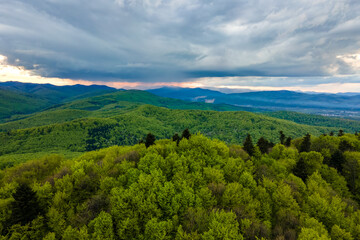 Fototapeta premium Aerial view of dark mountain hills covered with green mixed pine and lush forest in evening.