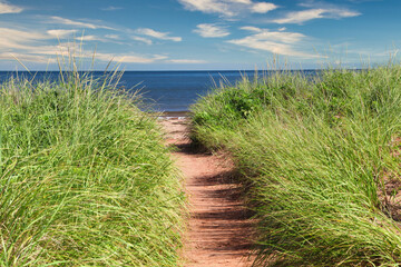 Path through the marram grass to the beach.
