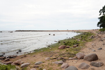 The river bank is covered with green mud and rocks. Wildlife. swimming is prohibited.