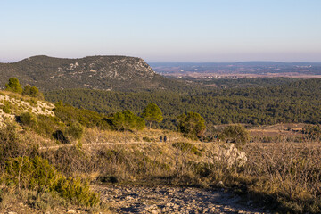 Vue sur la garrigue depuis le Puech des Mourgues à Saint-Bauzille-de-Montmel (Occitanie, France)