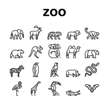 Zoo Animals, Birds And Snakes Icons Set Vector. Exotic Tiger And Elephant, Deer And Kangaroo, Camel And Panda Bear, Zebra And Monkey In Zoo Line. Flamingo And Penguin Black Contour Illustrations