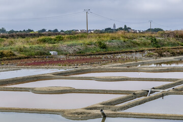 Fototapeta na wymiar Guerande salt marshes. Salterns of Guerande - swamp of salt water about 1 700 hectares in size. Guerande - medieval town in department of Loire-Atlantique in Pays de la Loire in western France.
