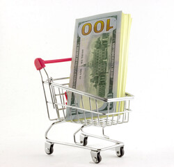 A basket with a red handle filled with a bundle of one hundred dollar banknote isolated on a white background. View from above