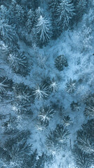 vertical banner with Top view on winter forest. Nature concept