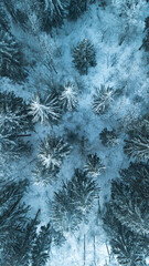 Top view on winter forest. Nature concept,Vertical banner