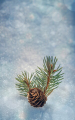 Pine cone in a snowdrift. Christmas holidays concept. Natural decor. Coniferous branch in winter. The concept of winter holidays, new year, christmas, the beauty of the winter forest. Copyspace.