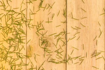 New Year's green spruce with crumbling needles on wooden background. End of the new year and holidays concept