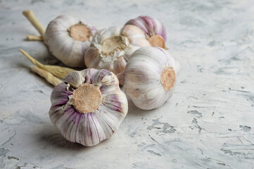 Garlic Cloves and Garlic bulb  on light concrete background . Selected focus. Concept of spices for healthy cooking.