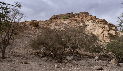 View of the  corridor-like  mountain's entrance, from north  and south, into Wadi David Trail of Ein Gedi Nature Reserve, located in the Judean desert on the eastern coast of the Dead Sea, Israel   