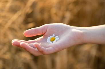 hand with flower