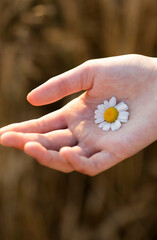 flower in hand. Flowers. Hands. Nature. Life. Happy day 