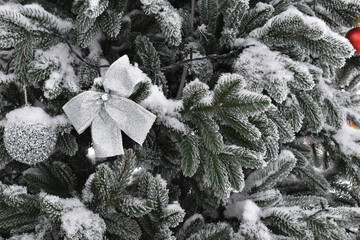 snow covered fir tree