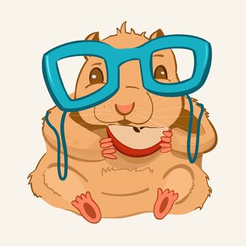Hamster illustration