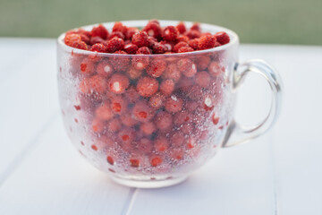 Fresh ripe juicy peeled small wild strawberries in big transparent glass round mug with drops of water on light blue background. Healthy food. Close up.