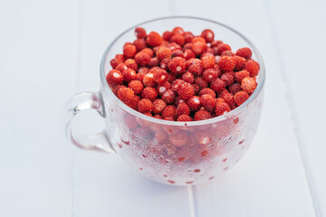 Fresh ripe juicy peeled small wild strawberries in big transparent glass round mug with drops of water on light blue background. Healthy food. Copy space. Close up. Mock up.
