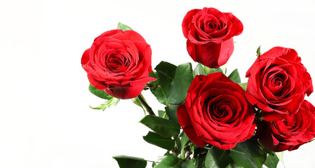 Rose rosse isolate su fondo bianco. San Valentino, compleanno, festa della mamma, matrimonio, anniversario. Disposizione piatta. Direttamente sopra. Copia spazio.